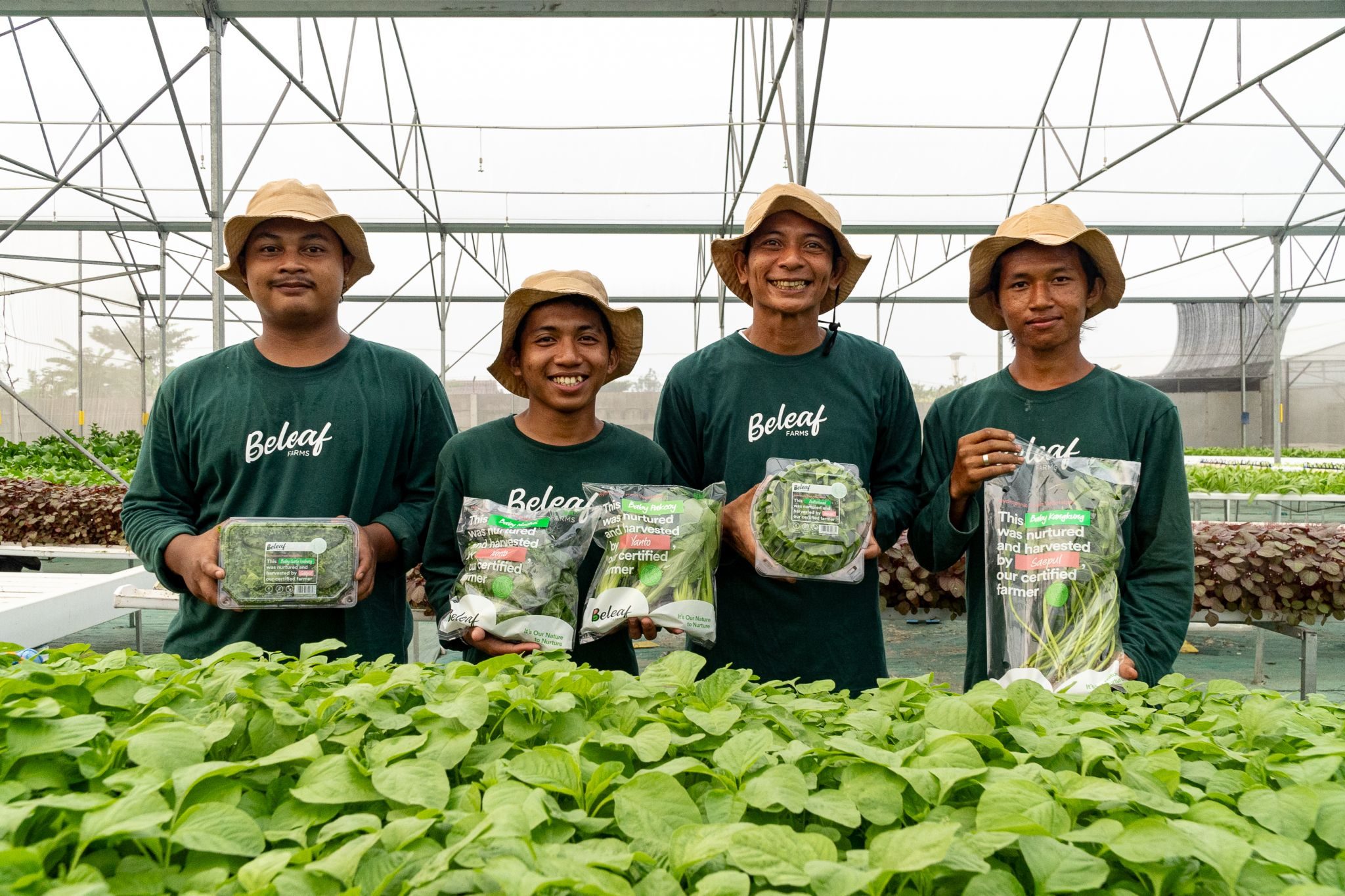 Indonesian agritech Beleaf close to finalising Series A extension round
