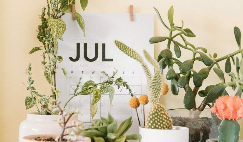 Here's a list of our top stories of July 2024