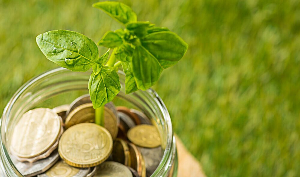 Ex-IFC exec launches Ortella Global Capital to back Indian startups