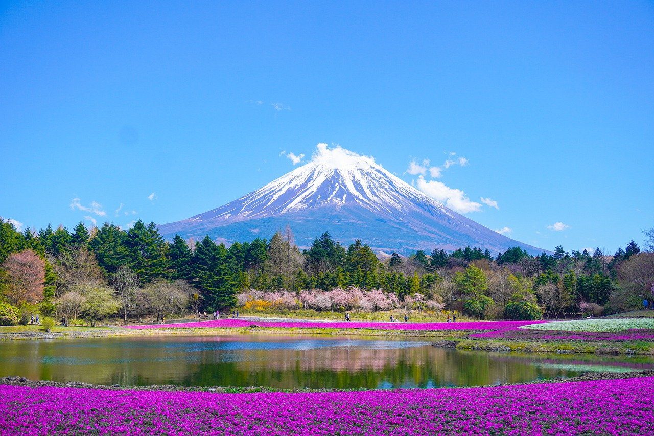 Growth, talent seen as key to sustaining Japan's private equity boom
