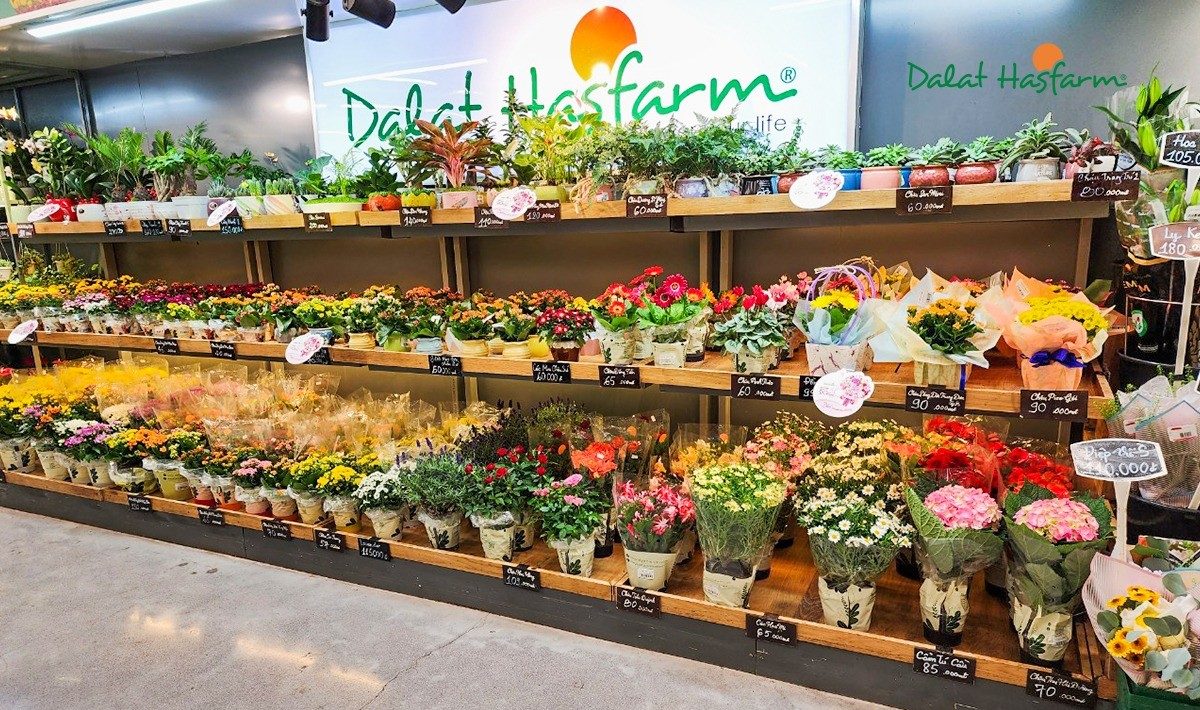 TPG said to have closed investment in Asian flower business Hasfarm Holdings