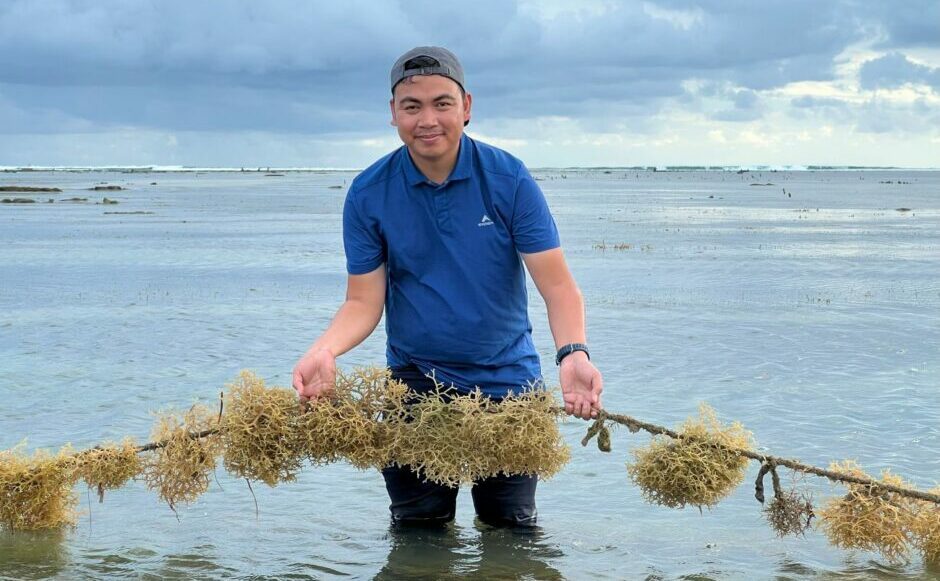 Banyu raises $1.25m from Intudo to grow seaweed farming in Indonesia