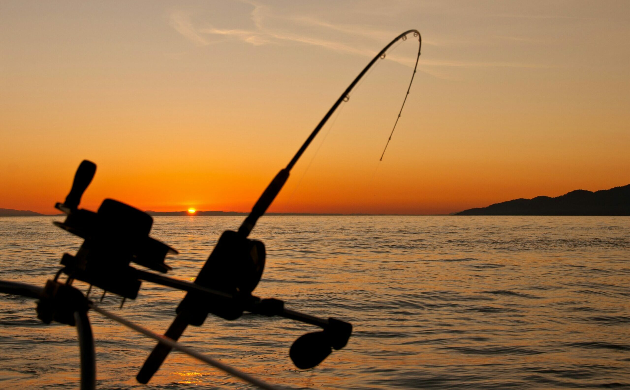 Japanese fishing gear maker Megabass partners L Catterton, eyes expansion