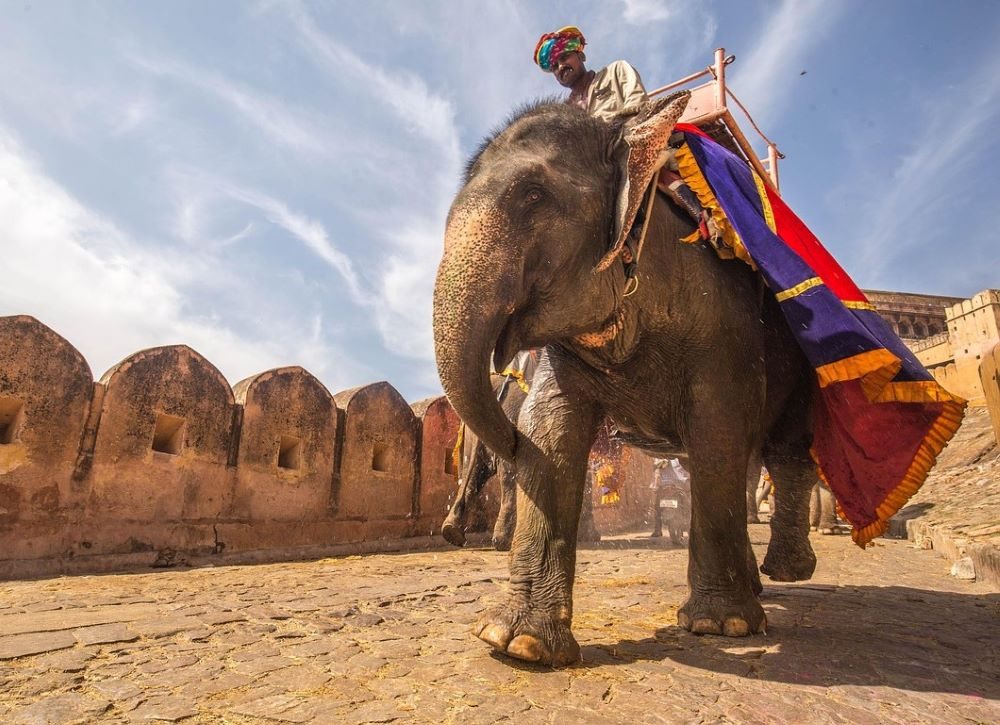 India Deal Review: Startup fundraising hits 7-month high in Jan