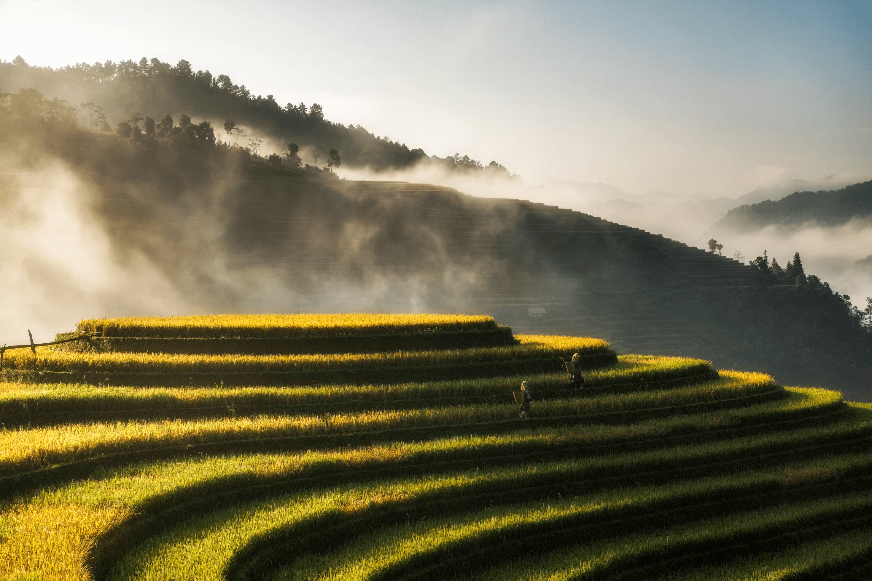 Vietnamese agritech startup Techcoop closes $70m Series A round