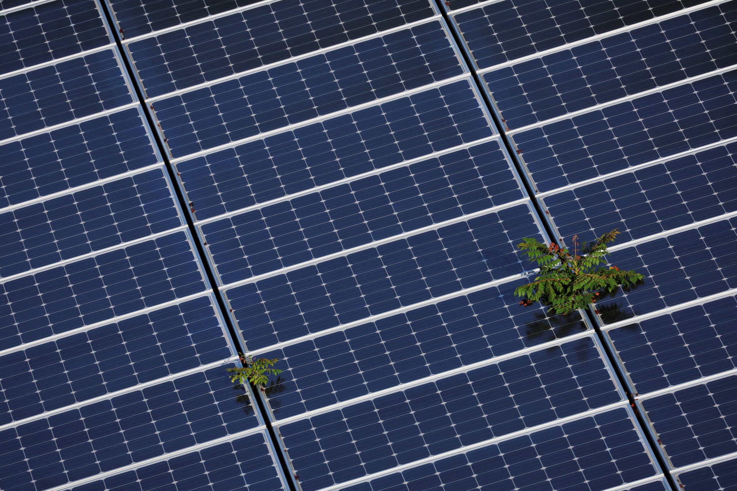 Terabase Energy secures $130m funding led by SoftBank