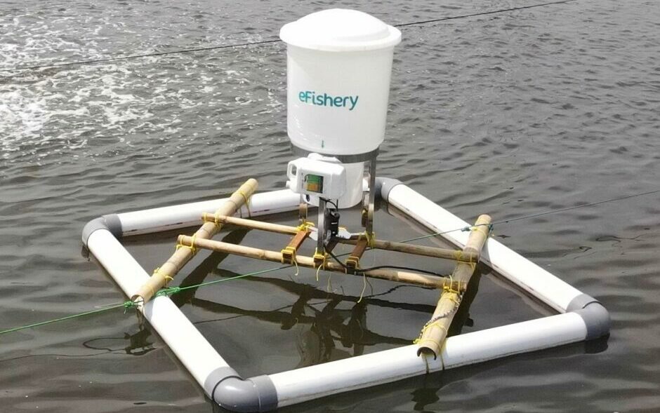 eFishery proposes liquidation plan that favours preference shareholders