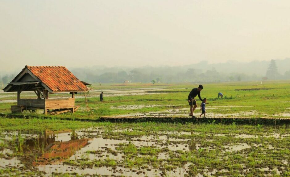 eFishery fiasco shakes investor confidence, but hope floats for Indonesia's agritech sector