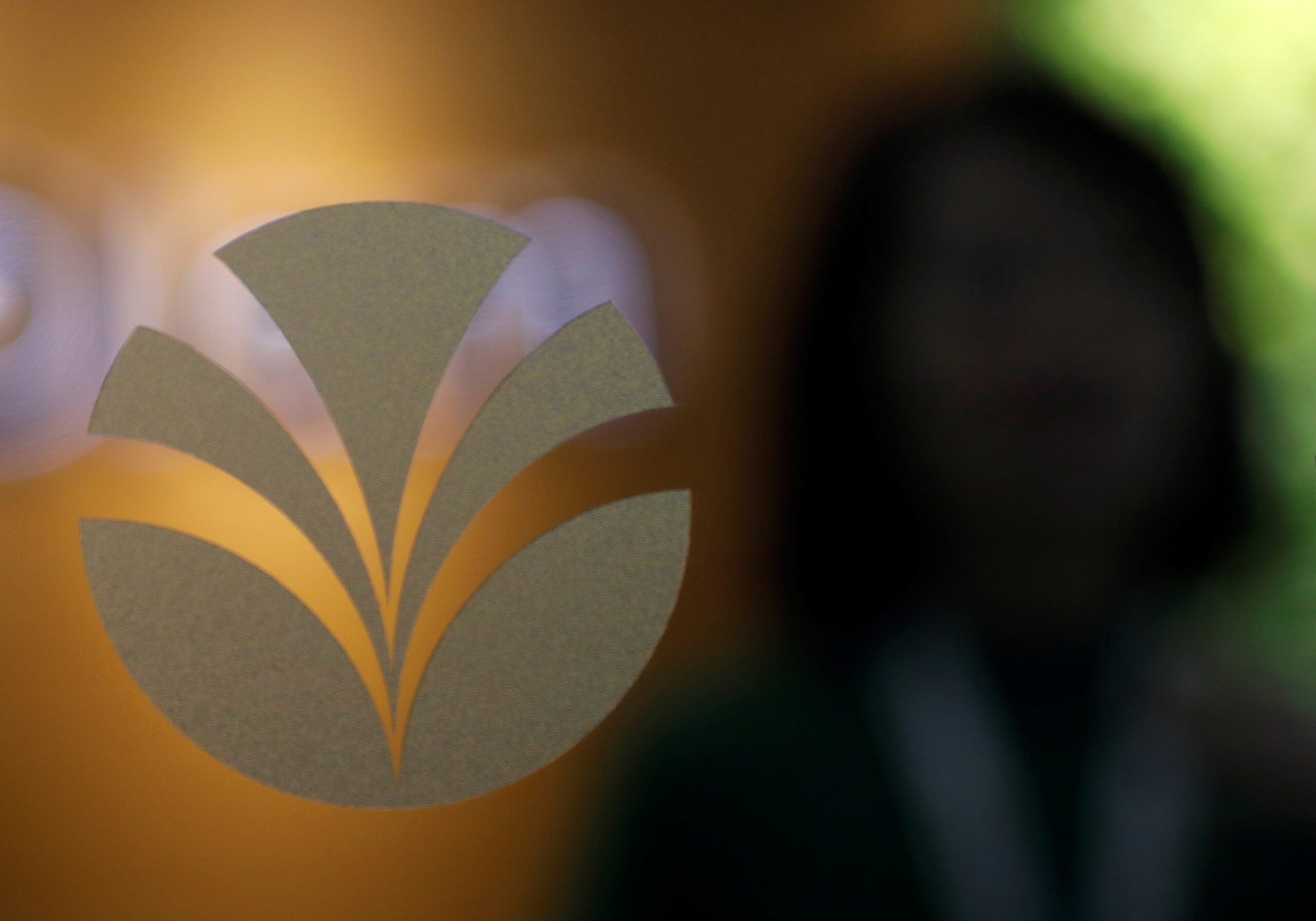 SG's Olam to invest $500m in food ingredients business, sell the rest