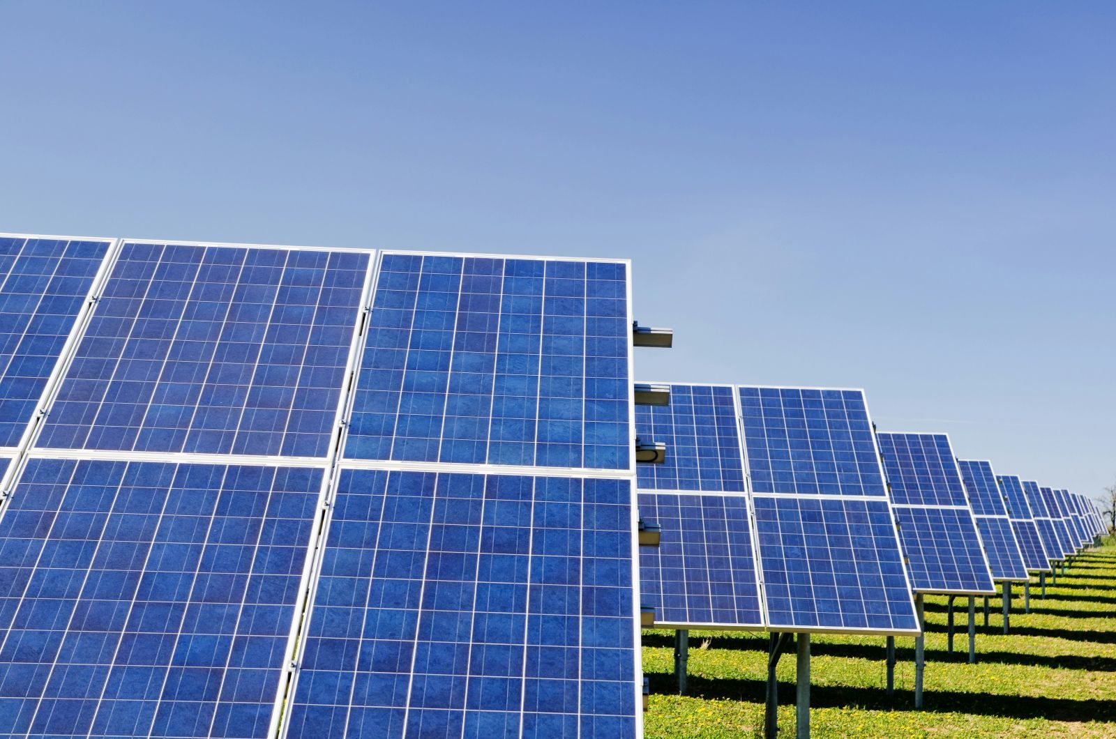ID Digest: Xurya bags $21m green loan; Kredivo adds new commissioner; Tiket.com names new CEO