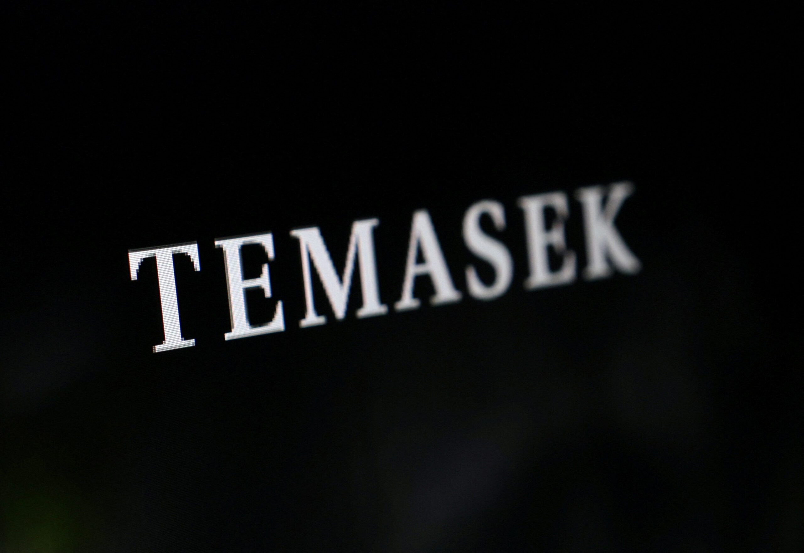 Temasek issues USD bonds to fund business operations