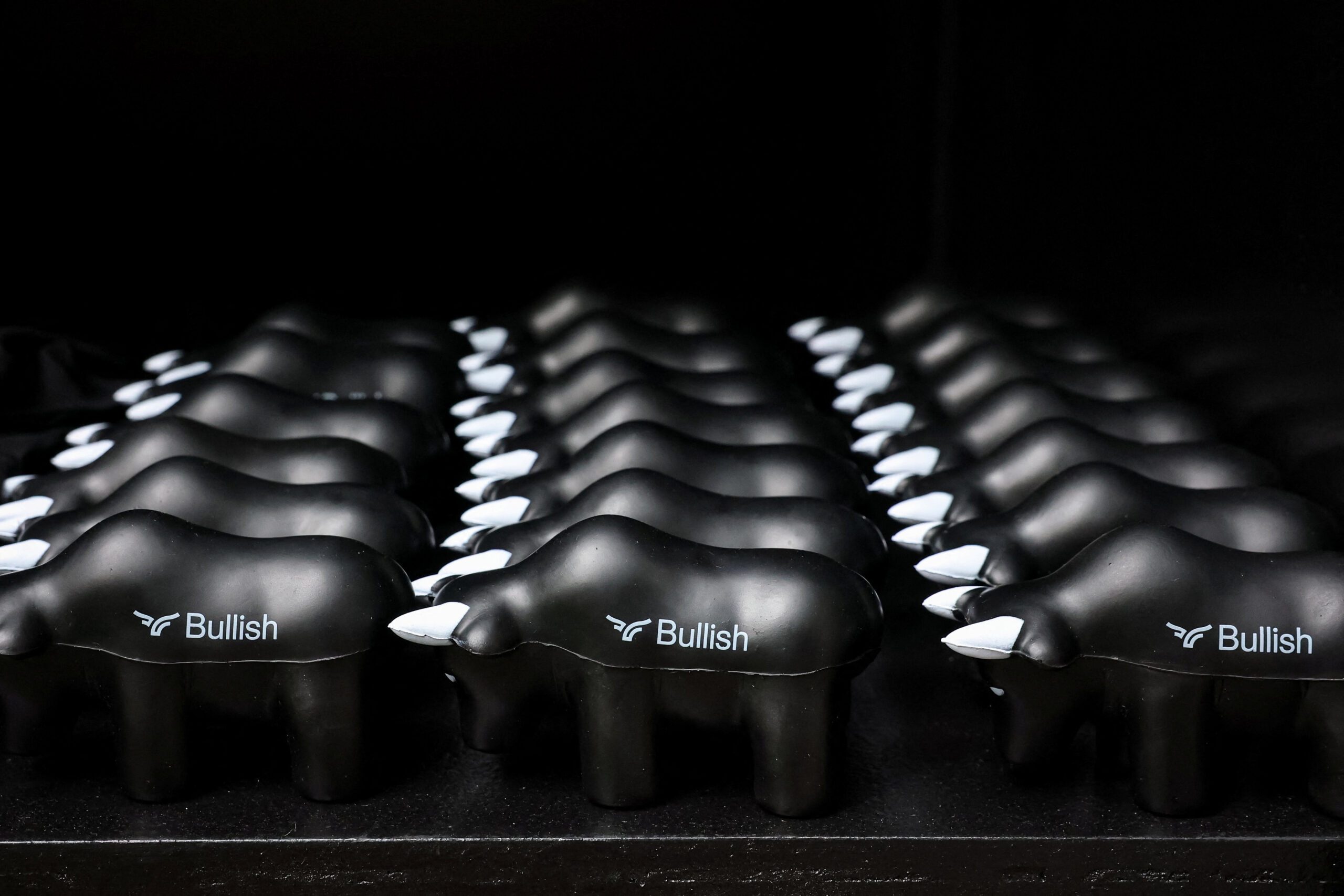 Trump-fueled crypto frenzy sparks rush to Wall Street IPOs