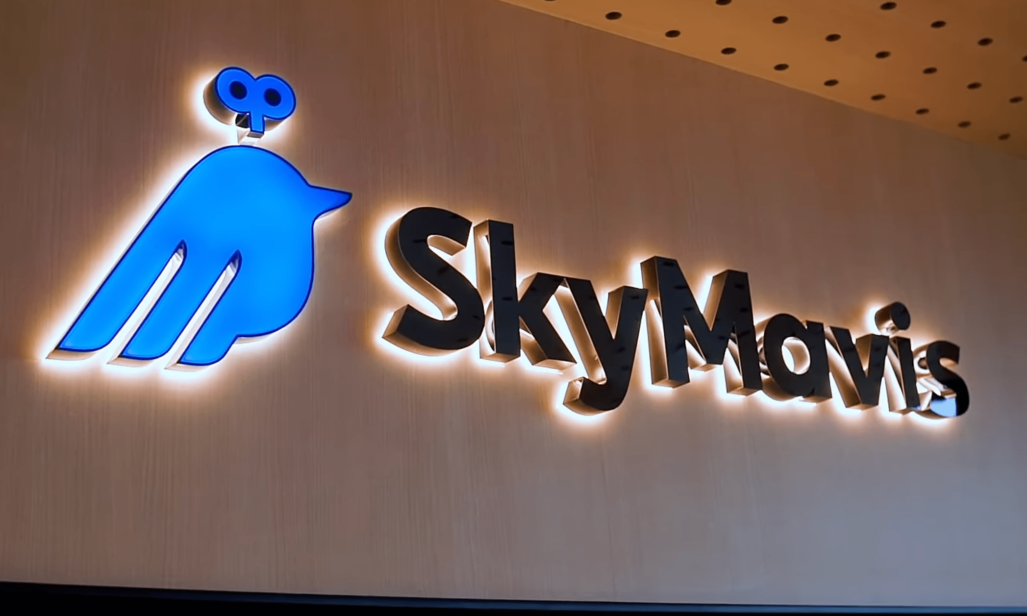 Sky Mavis' profit triples in FY 2024, marking recovery from Ronin attack