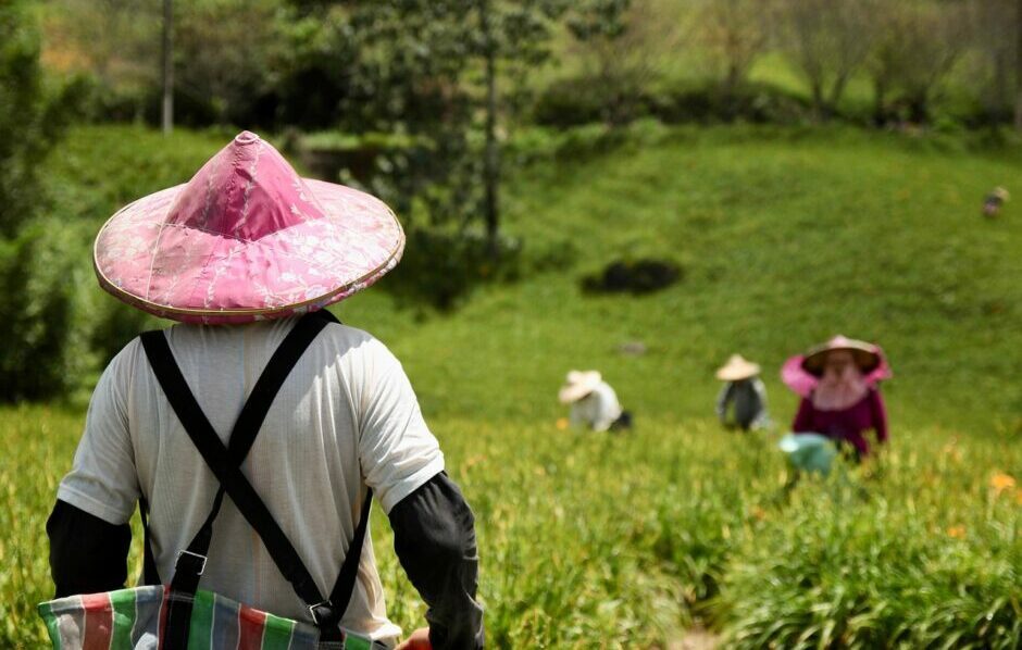 TaniHub probe: Indonesia court extends detention of suspects by 40 days