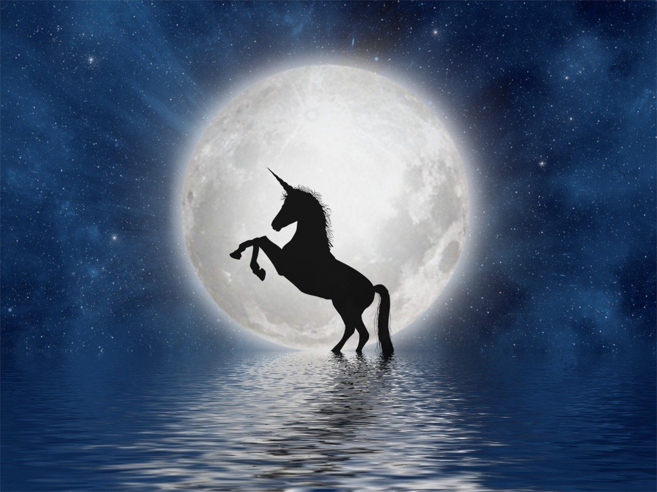 Beyond unicorns: Indian startups rewrite growth story, break new frontiers