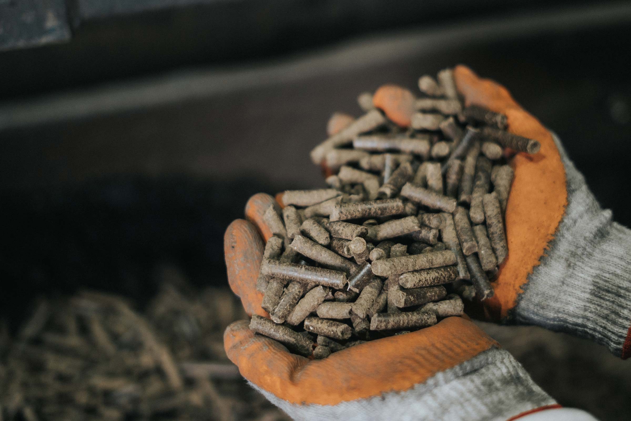 SG Digest: Verta Bioenergy, Mamame bag seed funding