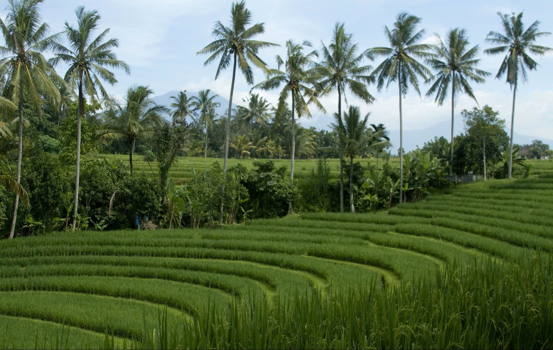 SEA Digest: HDBank raises $100m green bonds; Mirova backs Indonesian agri firm