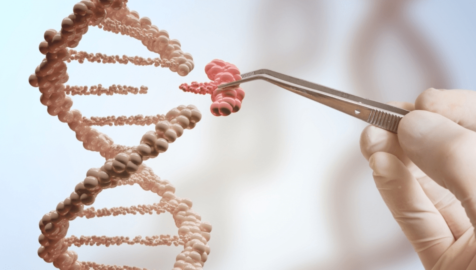 Immuno Cure may file for HK listing in H2 after pre-IPO round