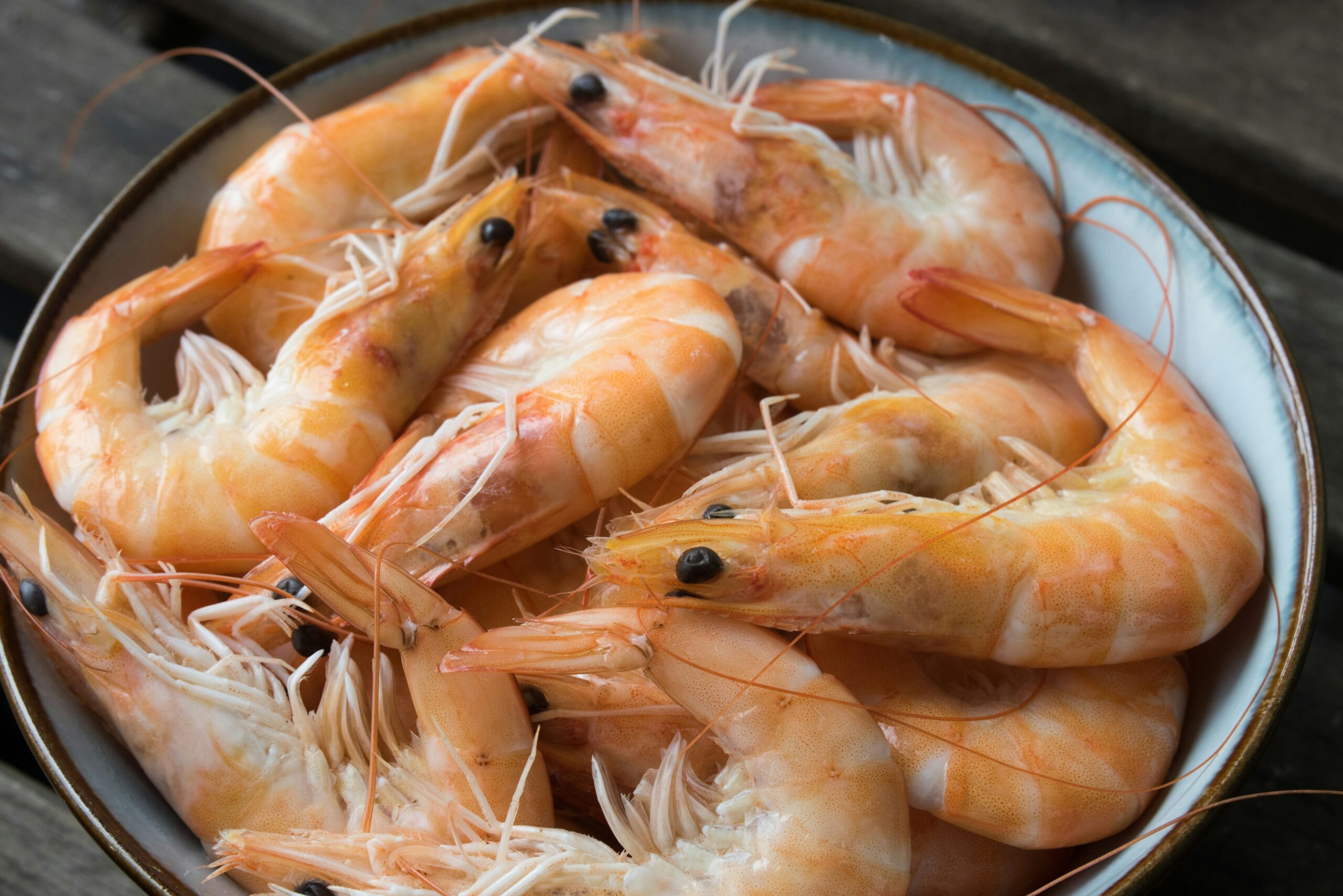 Australian startup's pathogen detection tech finds niche in SE Asian shrimp farms